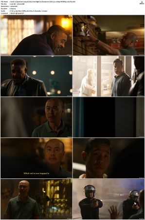 Quantum Leap 2022 S01 S02 1080p AMZN WEBRip DDP 5 1 x265-iVy