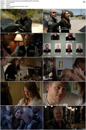 Sons of Anarchy S01-S07 SUPER-PACK 1080p WEBRip 10Bit DDP5.1 HEVC-d3g