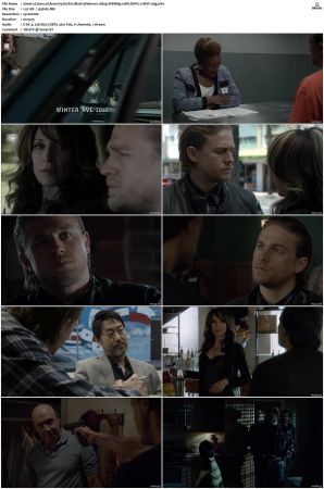 Sons of Anarchy S01-S07 SUPER-PACK 1080p WEBRip 10Bit DDP5.1 HEVC-d3g
