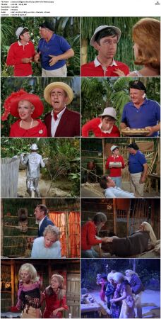 Gilligans Island S01 S03 DVDRip H264-NGP