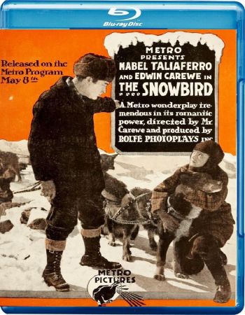 The Snowbird 1916 1080p Bluray FLAC 2.0 x264-RetroPeeps