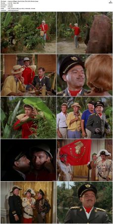 Gilligans Island S01 S03 DVDRip H264-NGP