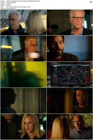 CSI Cyber S01 S02 WEBRip EAC3 5 1 1080p x265-iVy