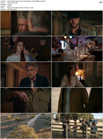 Walker S01 S04 WEBRip EAC3 5 1 1080p x265-iVy
