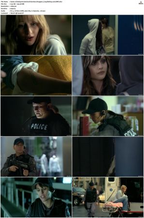 Flashpoint S01 S05 SUPER-PACK 720p BluRay x265-BMF