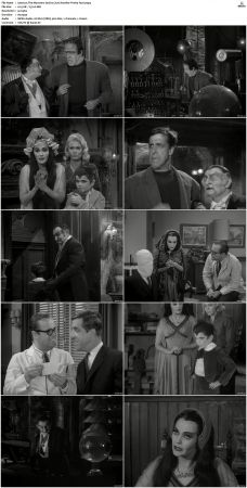 The Munsters 1964 S01 S02 DVDRip MPEG-NGP