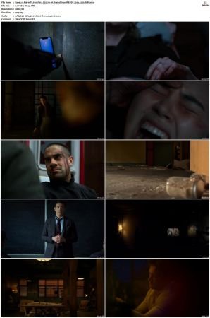 Marvels Iron Fist S01 S02 720p Bluray AAC x265-BMF