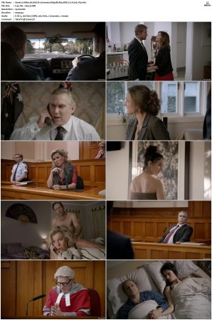Rake S01 S05 1080p BluRay DDP 2 0 x265-iVy