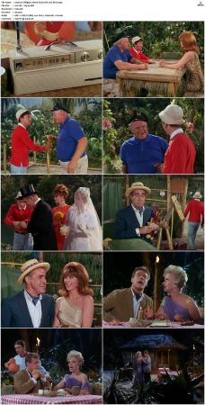 Gilligans Island S01 S03 DVDRip H264-NGP