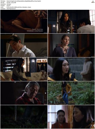 Kung Fu 2021 S01 S03 SUPER-PACK 1080p BluRay-WEB DDP 5 1 x265-iVy