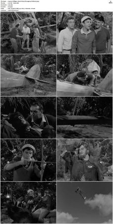 Gilligans Island S01 S03 DVDRip H264-NGP