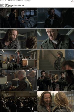Falling Skies S01 S05 Bluray EAC3 5 1 1080p x265-iVy