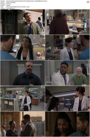 New Amsterdam 2018 S01-S05 1080p WEBRip EAC3 5.1 x265-iVy