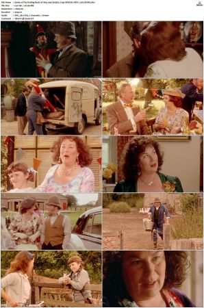 The Darling Buds of May 1991 S01 S03 720p WEB-DL HEVC x265 BONE
