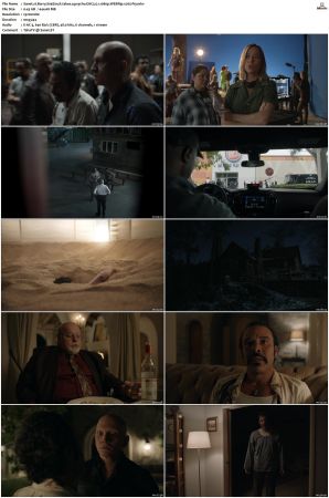Barry S01 S04 SUPER-PACK WEBRip EAC3 5 1 1080p x265-iVy