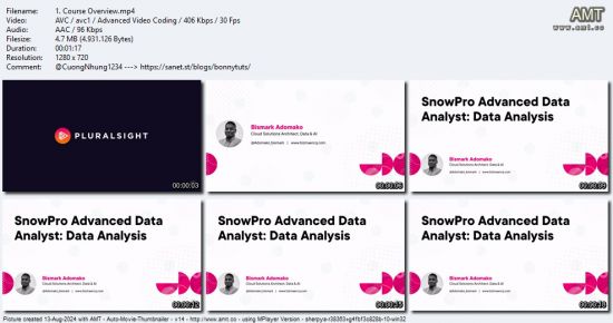 SnowPro Advanced Data Analyst - Data Analysis