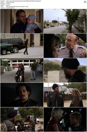 Sons of Anarchy S01 S07 SUPER-PACK 1080p WEBRip 10Bit DDP5 1 HEVC-d3g