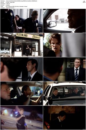 Southland S01 S05 SUPER-PACK NORDiC 720p WEB-DL H 265 DD5 1-CiNEMiX