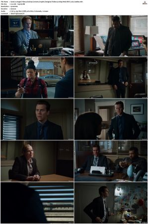 Angie Tribeca S01 S04 SUPER-PACK 1080p Web DDP5 1 HEVC x265-JoeBee
