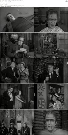 The Munsters 1964 S01 S02 DVDRip MPEG-NGP