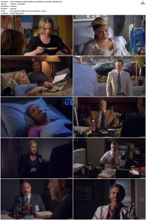 Medium S06 NORDiC 720p WEB-DL H 265 DD5 1-CiNEMiX