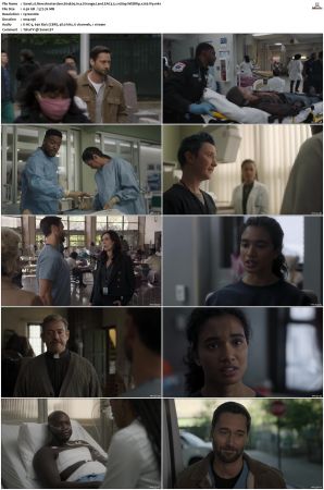 New Amsterdam 2018 S01-S05 1080p WEBRip EAC3 5.1 x265-iVy