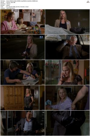 Medium S05 NORDiC 720p WEB-DL H 265 DD5 1-CiNEMiX