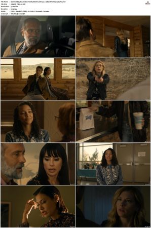 Big Sky S01-S03 1080p WEBRip EAC3 5.1 x265-iVy