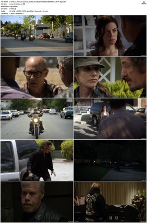 Sons of Anarchy S01 S07 SUPER-PACK 1080p WEBRip 10Bit DDP5 1 HEVC-d3g