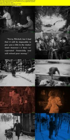 The Snowbird 1916 1080p Bluray FLAC 2.0 x264-RetroPeeps