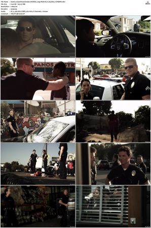 Southland S01 S05 SUPER-PACK NORDiC 720p WEB-DL H 265 DD5 1-CiNEMiX