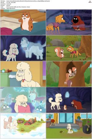 HouseBroken S01-S02 1080p WEBRip EAC3 5.1 x265-iVy