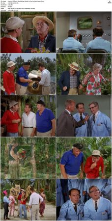 Gilligans Island S01 S03 DVDRip H264-NGP