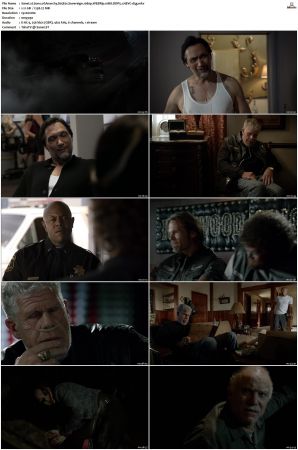 Sons of Anarchy S01-S07 SUPER-PACK 1080p WEBRip 10Bit DDP5.1 HEVC-d3g