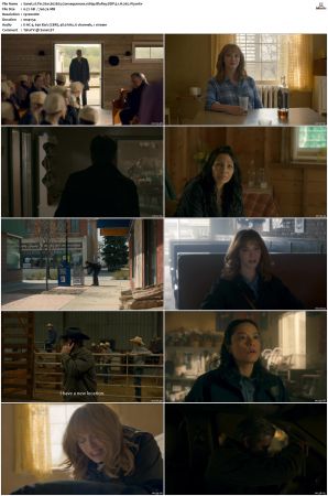 Tin Star S01 S03 1080p BluRay DDP 5 1 x265-iVy