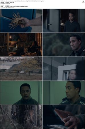 One Lane Bridge S01 S03 1080p AMZN WEBRip DDP 20 x265-iVy