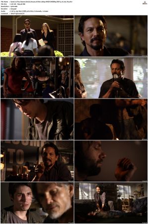 The Cleaner S01 S02 1080p AMZN WEBRip DDP 5 1 x265-iVy