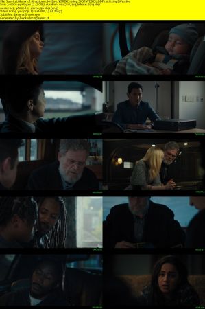 Mayor of Kingstown S03E09 NORDiC 1080p SKST WEB-DL DDP2 0 H 264-DKV