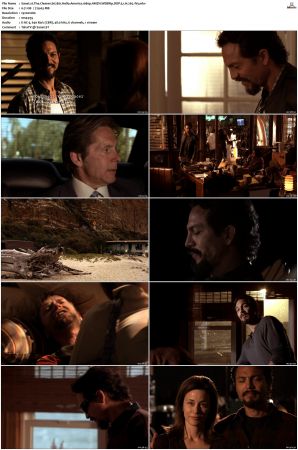 The Cleaner S01 S02 1080p AMZN WEBRip DDP 5 1 x265-iVy