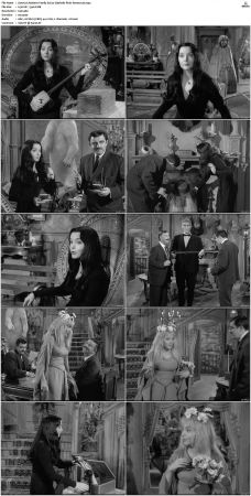 The Addams Family 1964 S01-S02 DVDRip X264-NGP