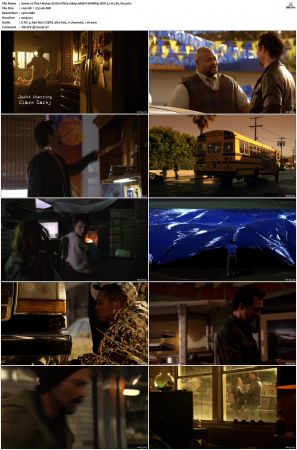 The Cleaner S01 S02 1080p AMZN WEBRip DDP 5 1 x265-iVy