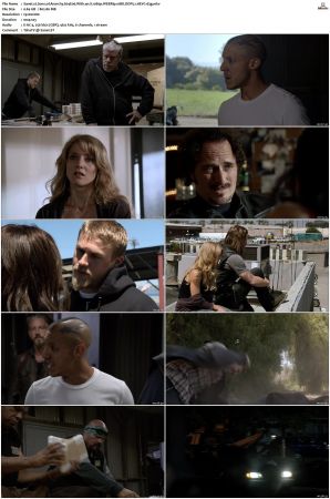 Sons of Anarchy S01-S07 SUPER-PACK 1080p WEBRip 10Bit DDP5.1 HEVC-d3g