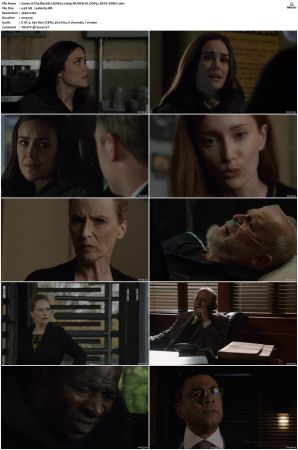 The Blacklist S08 2160p NF WEB-DL DDP5 1 HEVC-XEBEC