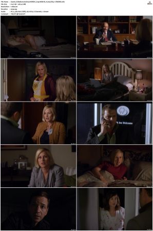 Medium S07 NORDiC 720p WEB-DL H 265 DD5.1-CiNEMiX