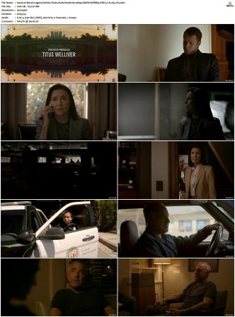 Bosch Legacy S01 S02 SUPER-PACK 1080p AMZN WEBRip DDP 5 1 x265-iVy