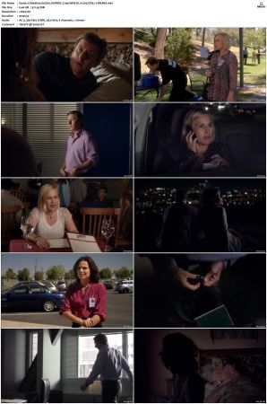 Medium S07 NORDiC 720p WEB-DL H 265 DD5.1-CiNEMiX