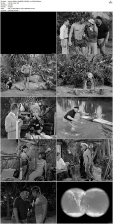 Gilligans Island S01 S03 DVDRip H264-NGP