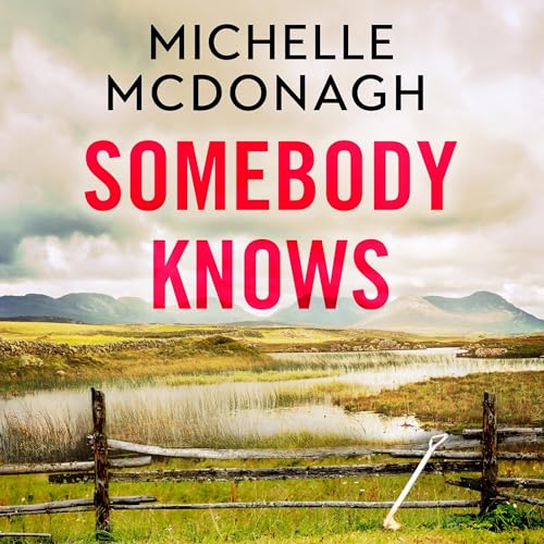 Somebody KnowsAudiobook