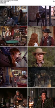 Bonanza S01-S14 DVDRip XviD x264-SCENE