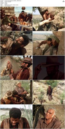 Bonanza S01-S14 DVDRip XviD x264-SCENE